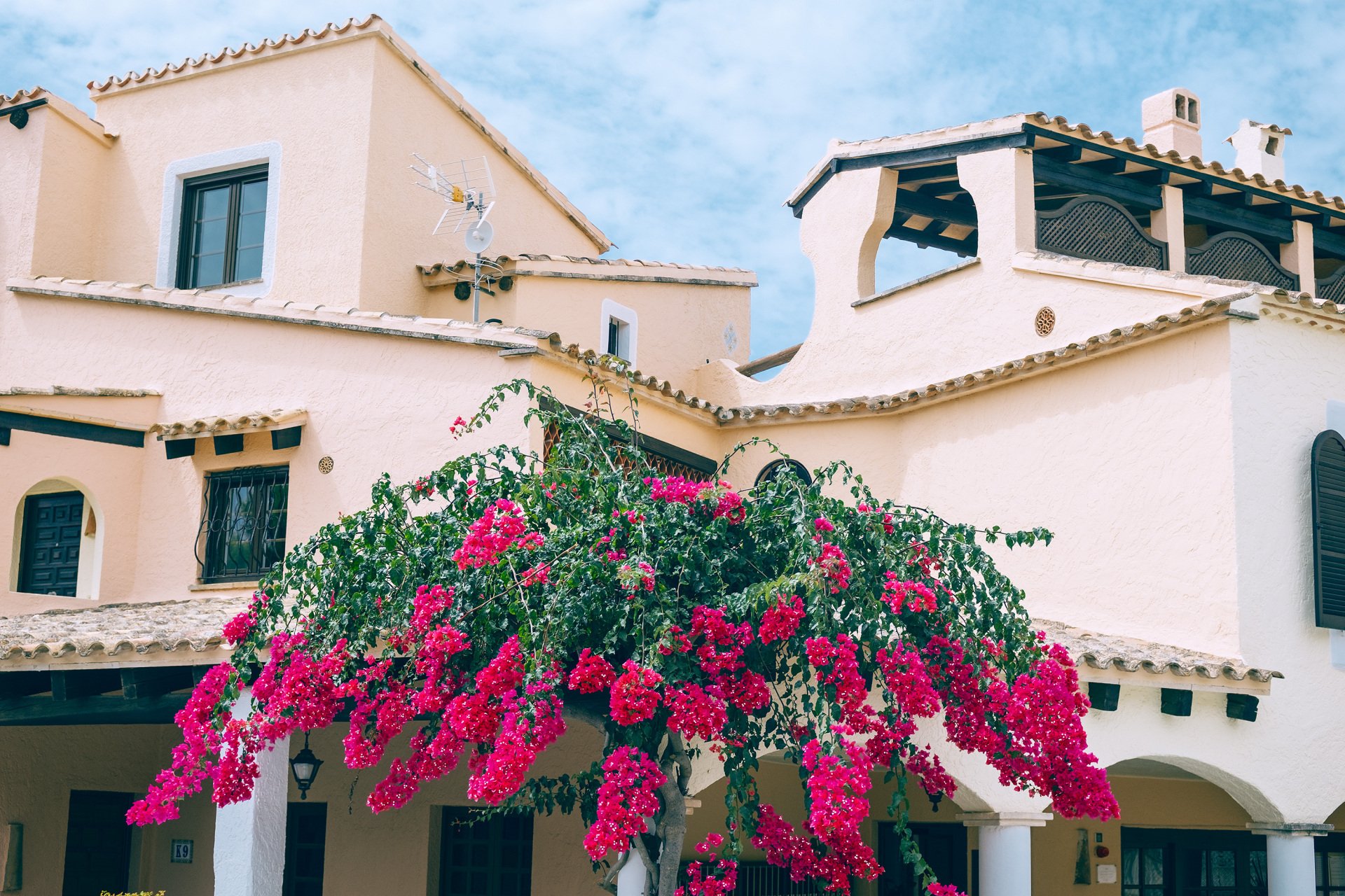 Edificio de fachadas claras con tejados de teja, ventanas, arcos y una terraza cubierta, junto a una planta de abundantes flores rosas.